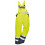 Зимний костюм Portwest PJ50 + S489 желтый